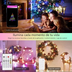 DOSYU 圣诞系列，圣诞装饰灯10m带USB控制/远程红外球灯RGBIC 66 LED灯，蓝牙控制